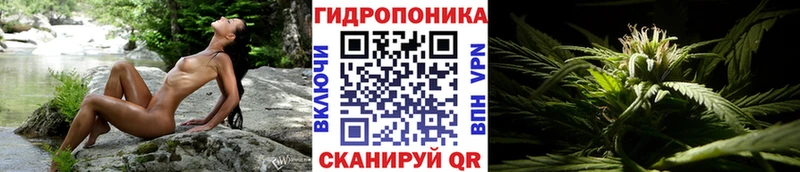 Продажа наркотиков Курильск ГАШ  Марихуана  КОКАИН  Мефедрон 
