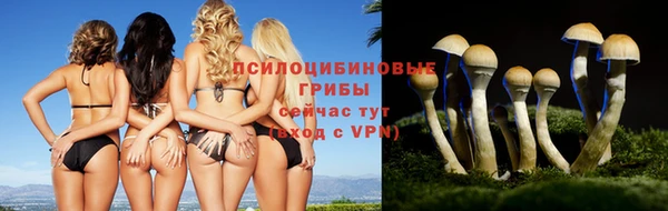 марки lsd Балахна