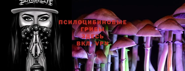 прущий лед Семёнов