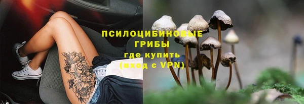 мескалин Белокуриха