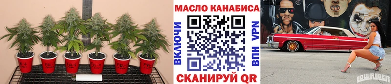 Дистиллят ТГК вейп  Курильск 