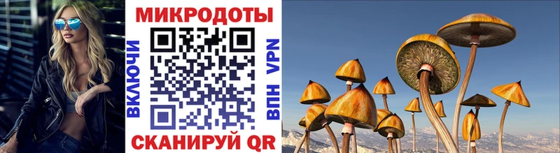Псилоцибиновые грибы GOLDEN TEACHER  мориарти какой сайт  Курильск 
